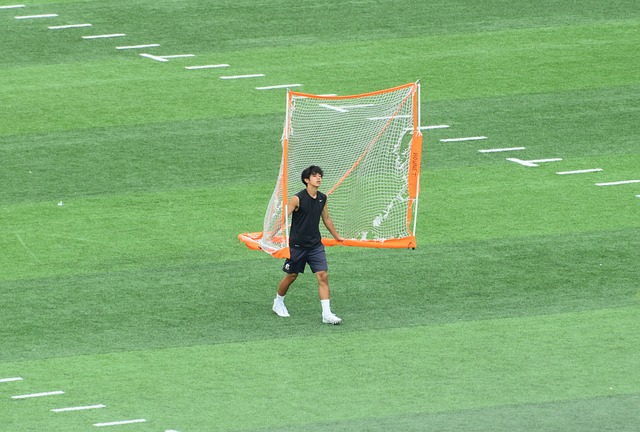 易引进强力